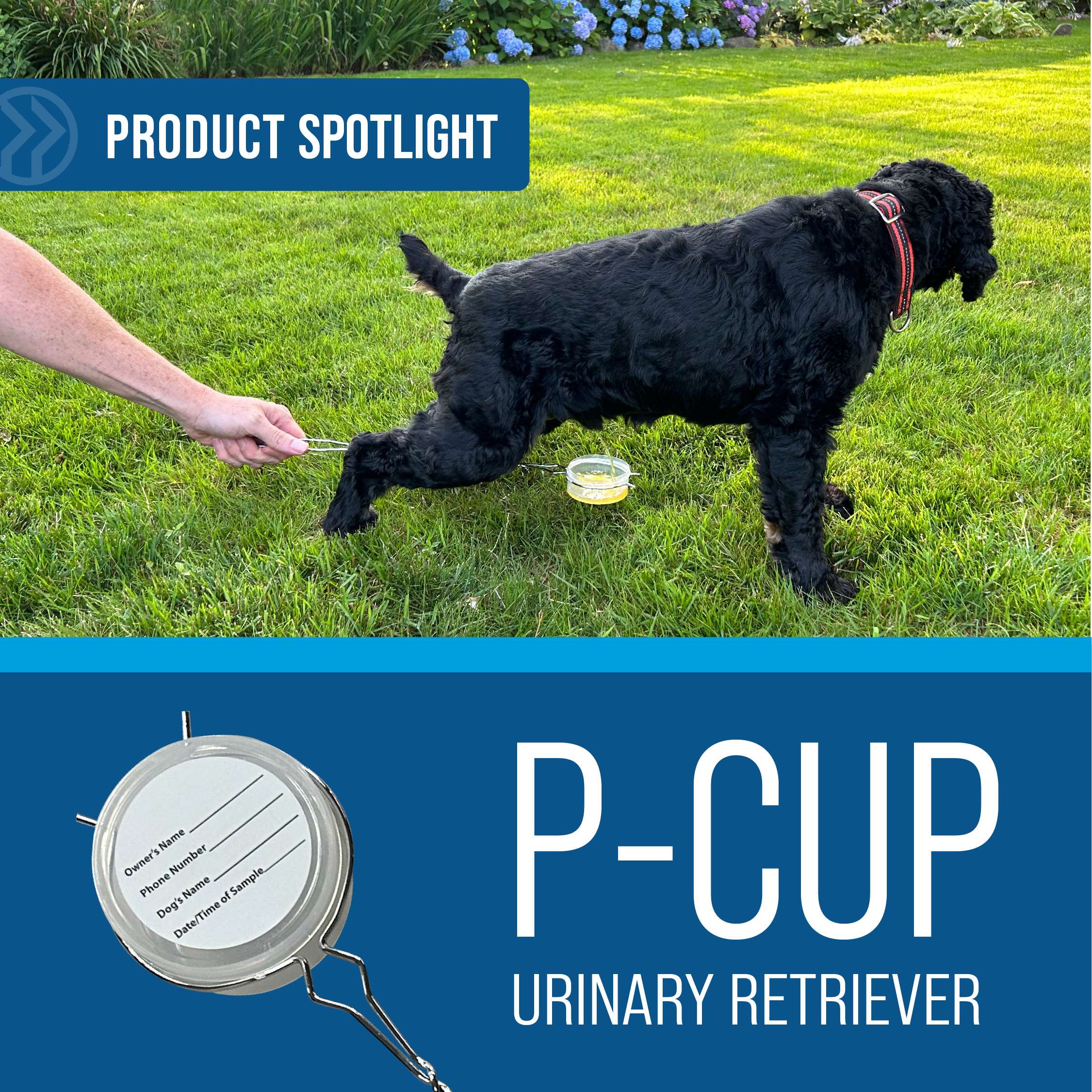 P-Cup™ Urinary Retriever